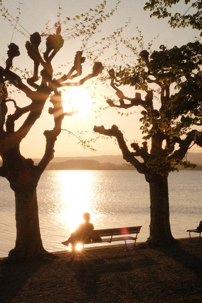 ours-journey A serene sunset by Lake Zug with silhouetted trees and a person on a bench, Switzerland.