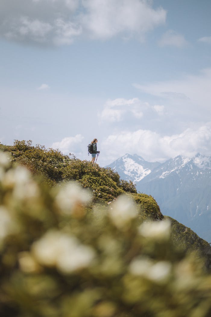 services-02 A lone hiker stands atop a lush hill with snow-capped mountains in the background under a bright sky.